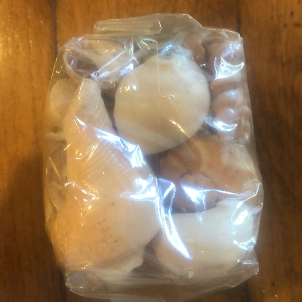 Shells- Decorative Pack - Picture 4 of 6